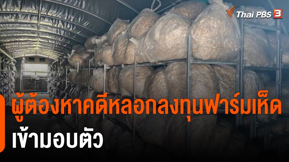 ผู้ต้องหาคดีหลอกลงทุนฟาร์มเห็ด Turtle Farm เข้ามอบตัว