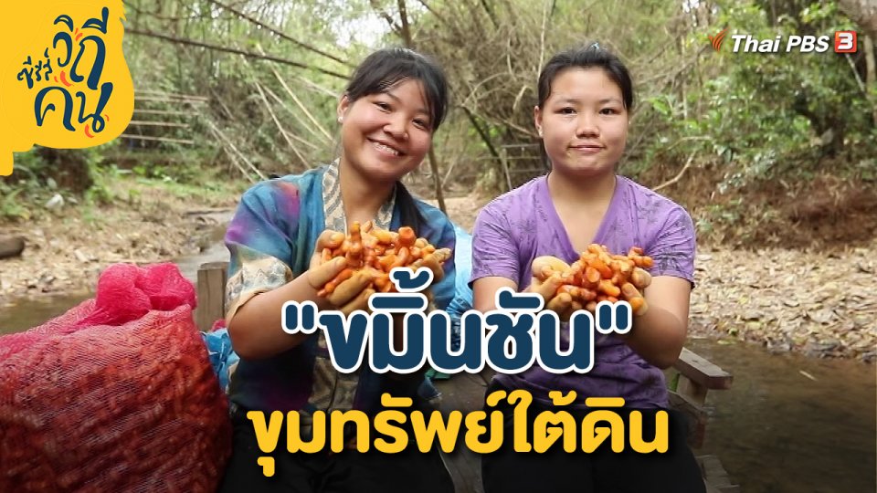 "ขมิ้นชัน" ขุมทรัพย์ใต้ดิน