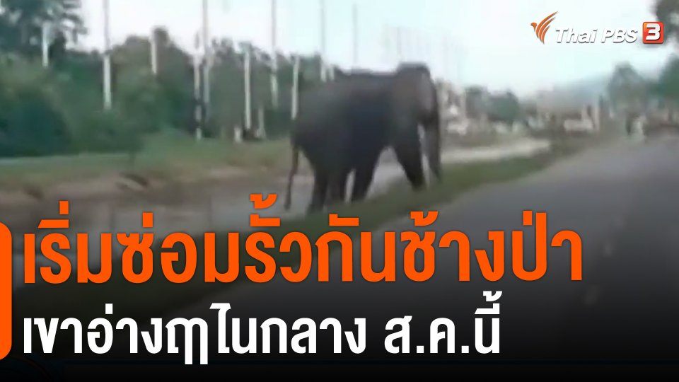 ​เริ่มซ่อมรั้วกันช้างป่าเขาอ่างฤาไนกลาง ส.ค.นี้