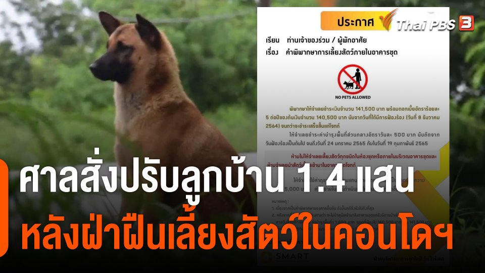 ศาลสั่งปรับลูกบ้าน 1.4 แสน หลังฝ่าฝืนเลี้ยงสัตว์ในคอนโดฯ