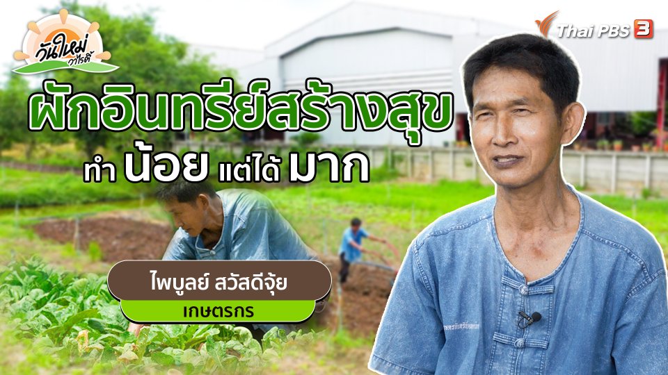 พอดีพอเพียง : ผักอินทรีย์สร้างสุข ทำน้อยแต่ได้มาก