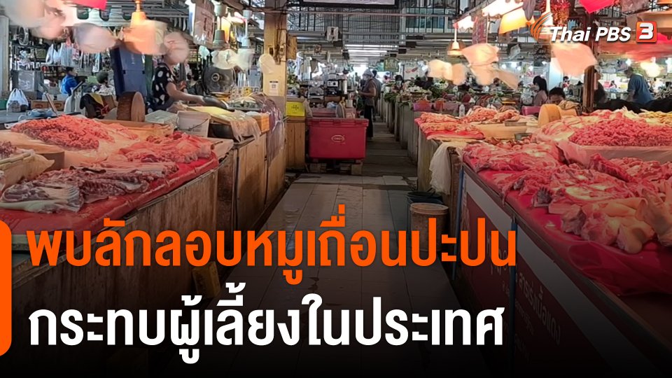 กินอยู่รู้รอบ : พบลักลอบหมูเถื่อนปะปน กระทบผู้เลี้ยงในประเทศ