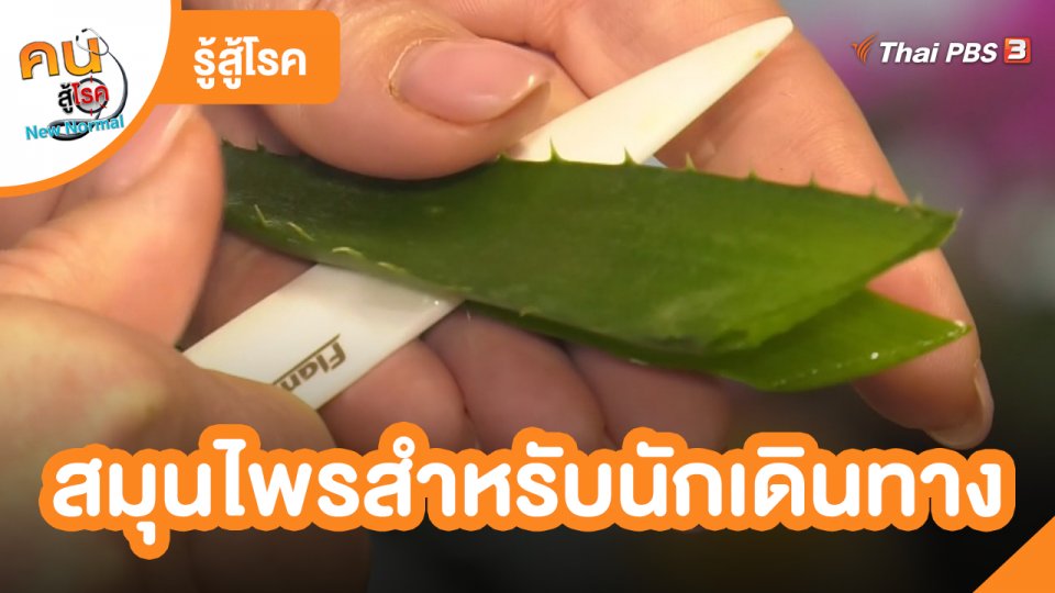 ​รู้สู้โรค : สมุนไพรสำหรับนักเดินทาง