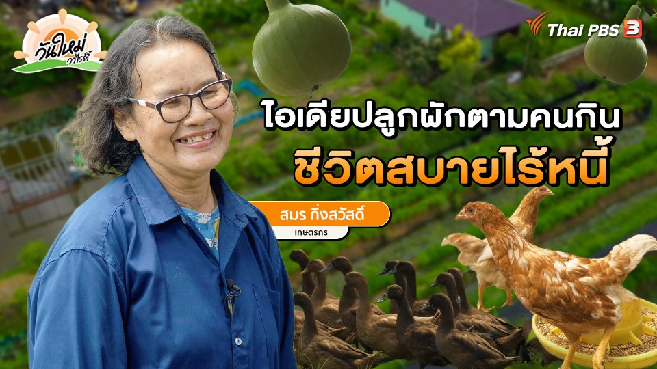 พอดีพอเพียง : ไอเดียปลูกผักตามคนกิน ชีวิตสบายไร้หนี้