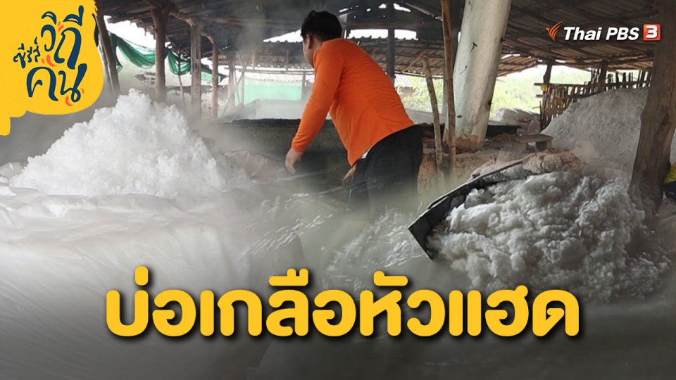 ​บ่อเกลือหัวแฮด