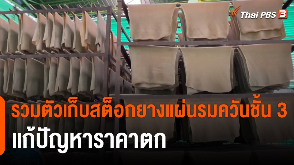 กินอยู่รู้รอบ : รวมตัวเก็บสต็อกยางแผ่นรมควันชั้น 3 แก้ปัญหาราคาตก