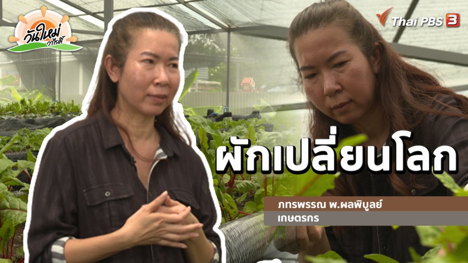 พอดีพอเพียง : ผักเปลี่ยนโลก(โรค)