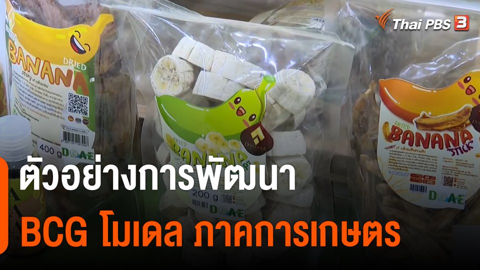 จับสัญญาณเศรษฐกิจ : ตัวอย่างการพัฒนา BCG โมเดล ภาคการเกษตร