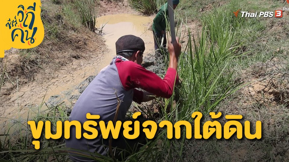 ขุมทรัพย์จากใต้ดิน