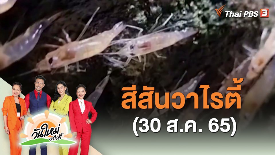 ​สีสันวาไรตี้ (30 ส.ค. 65)