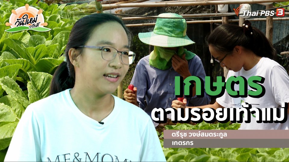 พอดีพอเพียง : เกษตรตามรอยเท้าแม่