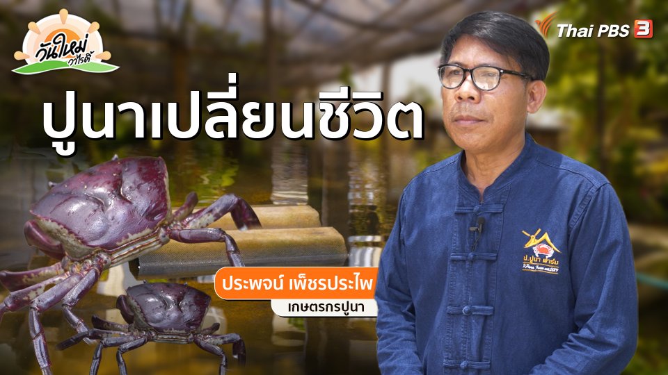 พอดีพอเพียง : "ปูนา" เปลี่ยนชีวิต