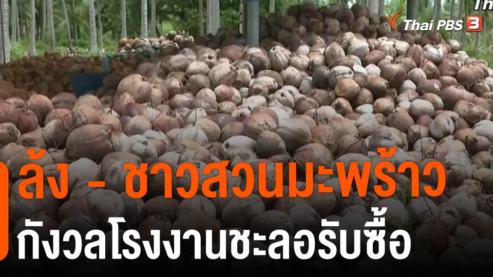 จับสัญญาณเศรษฐกิจ : ล้ง - ชาวสวนมะพร้าว กังวลโรงงานชะลอรับซื้อ