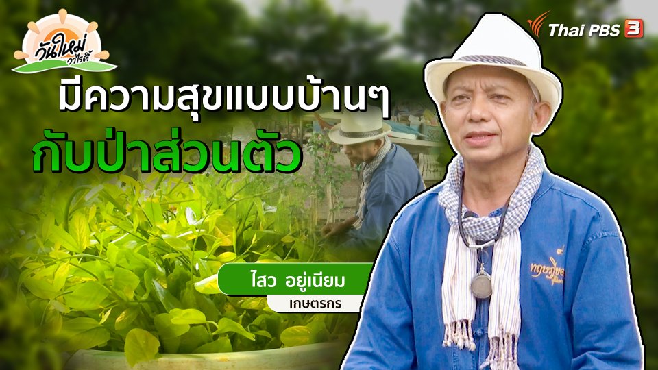 ​พอดีพอเพียง : ความสุขแบบบ้าน ๆ กับป่าส่วนตัว