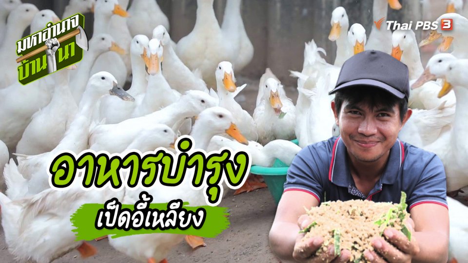 สูตรลับฉบับบ้านนา : อาหารบำรุงเป็ดอี้เหลียง