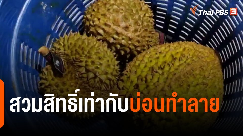 จับสัญญาณเศรษฐกิจ : "สวมสิทธิ์เท่ากับบ่อนทำลาย"