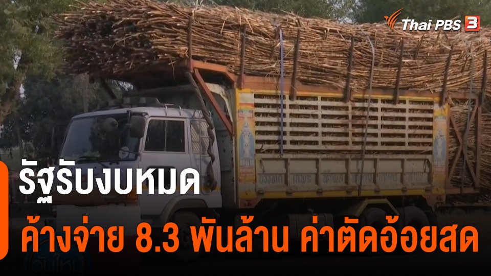 กินอยู่รู้รอบ : รัฐรับงบหมด ค้างจ่ายค่าตัดอ้อยสด 8,300 ล้านบาท