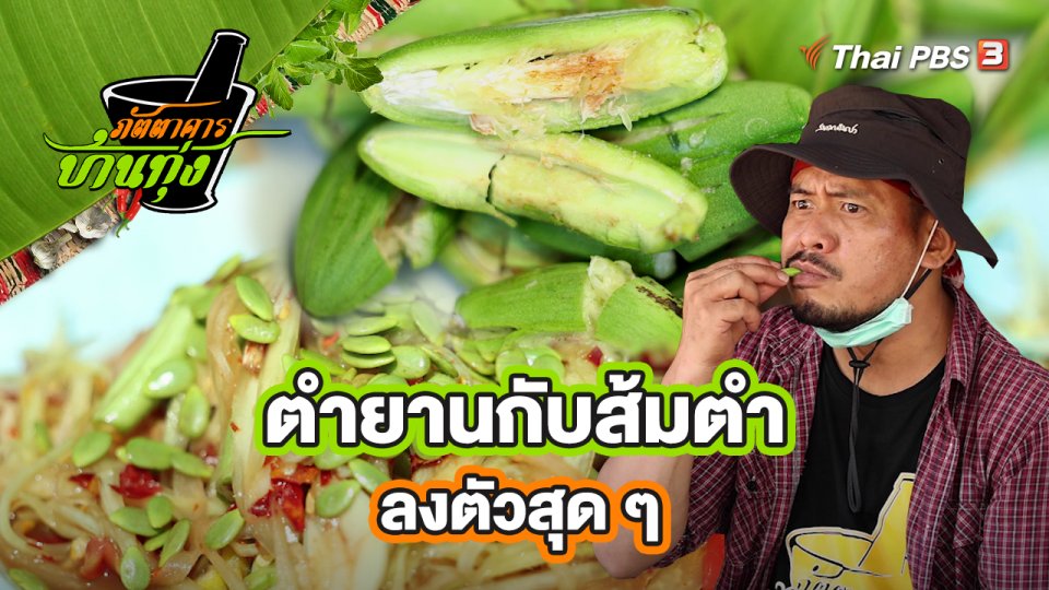 คลิปบ้านทุ่ง : ตำยานกับส้มตำ ลงตัวสุด ๆ