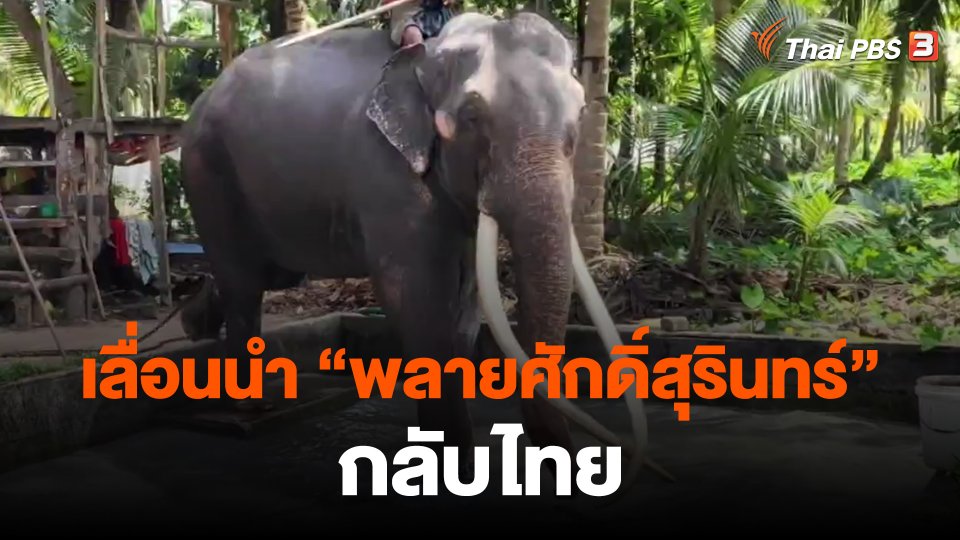 เลื่อนนำ "พลายศักดิ์สุรินทร์" กลับไทย