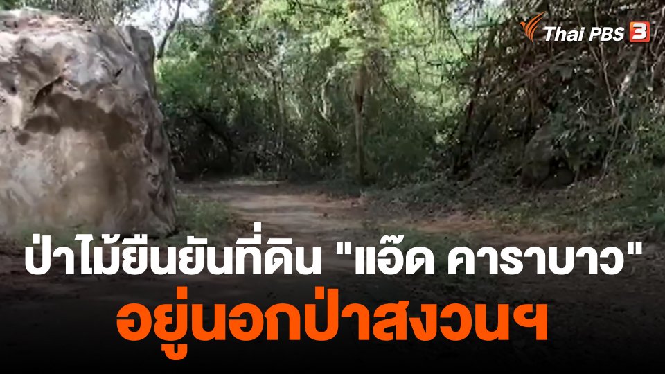 ป่าไม้ยืนยันที่ดิน "แอ๊ด คาราบาว" อยู่นอกป่าสงวนฯ