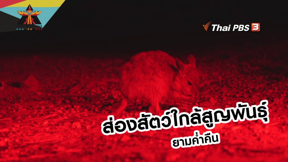 เรื่องเล่าการเดินทาง : ส่องสัตว์ใกล้สูญพันธุ์ยามค่ำคืน