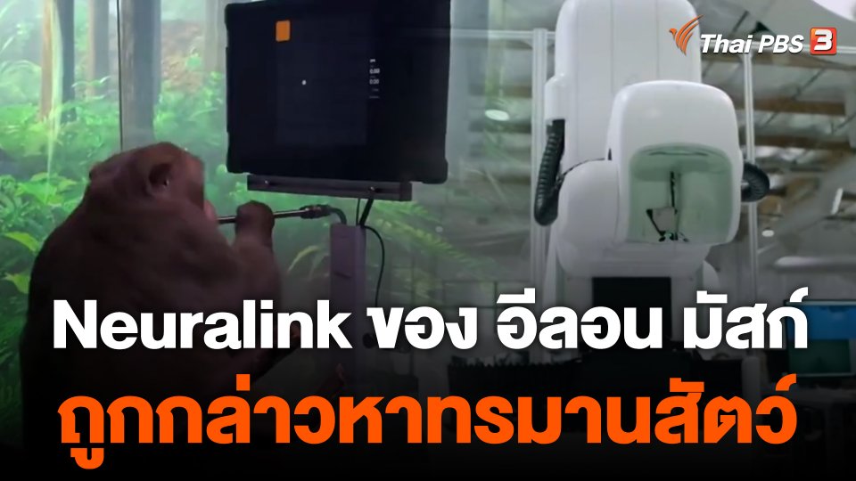 วิเคราะห์สถานการณ์ต่างประเทศ : Neuralink ของอีลอน มัสก์ อาจไปไม่ถึงดวงดาว เมื่อถูกกล่าวหาทรมานสัตว์