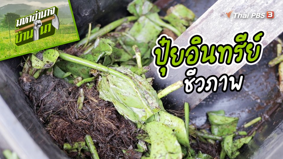 สูตรลับฉบับบ้านนา : ปุ๋ยอินทรีย์ชีวภาพ
