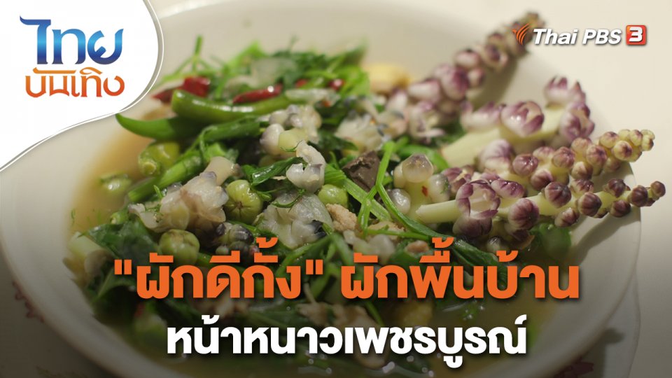 ​อิ่มมนต์รส : "ผักดีกั้ง" ผักพื้นบ้านหน้าหนาวเพชรบูรณ์