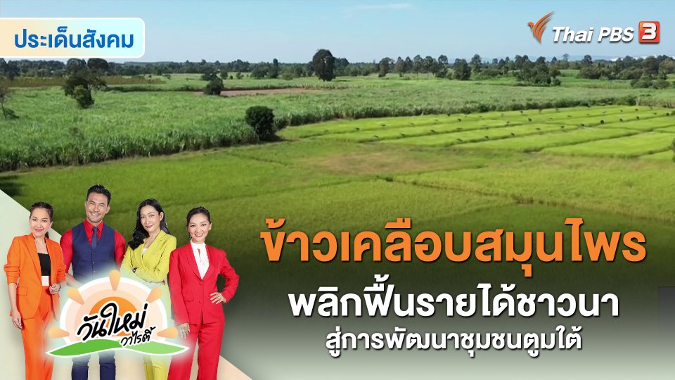​ประเด็นสังคม : ข้าวเคลือบสมุนไพร พลิกฟื้นรายได้ชาวนาสู่การพัฒนาชุมชนตูมใต้