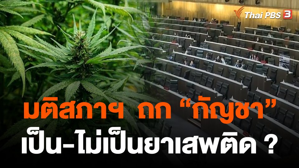 มติสภาฯ "กัญชา" ตามร่างกฎหมายไม่ระบุสถานะ