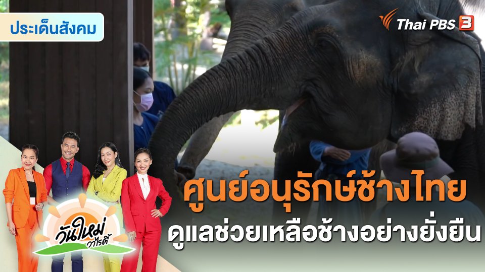 ประเด็นสังคม : ศูนย์อนุรักษ์ช้างไทย ดูแลช่วยเหลือช้างอย่างยั่งยืน