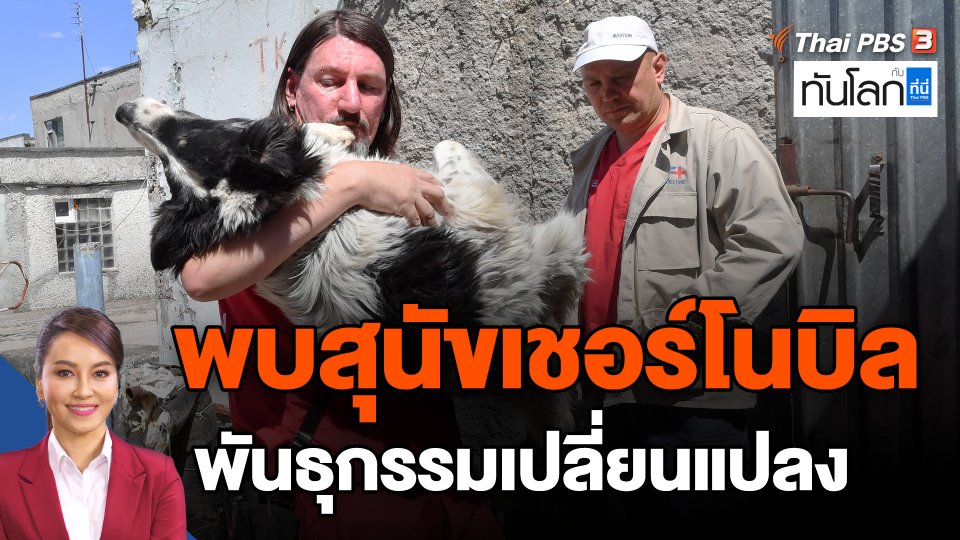 พบสุนัขเชอร์โนบิล พันธุกรรมเปลี่ยนแปลง