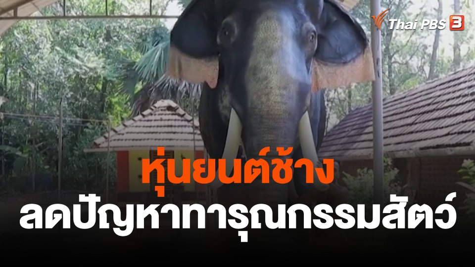 หุ่นยนต์ช้างลดปัญหาทารุณกรรมสัตว์