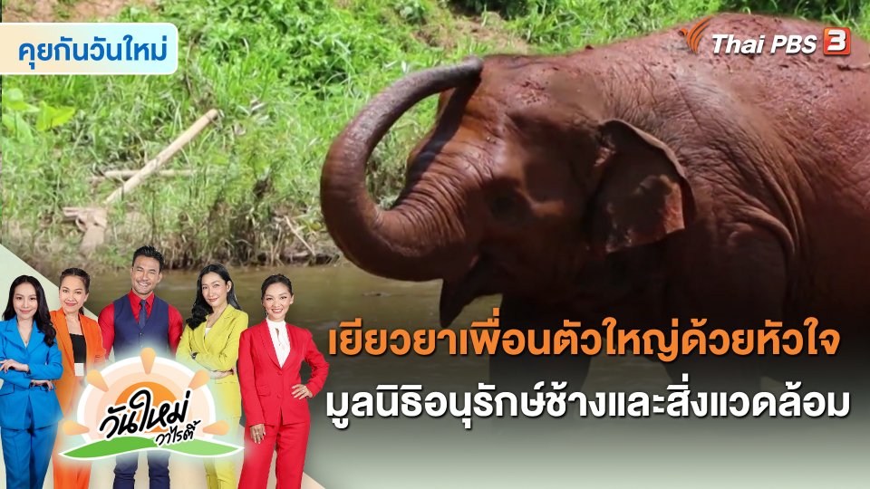 เยียวยาเพื่อนตัวใหญ่ด้วยหัวใจ มูลนิธิอนุรักษ์ช้างและสิ่งแวดล้อม
