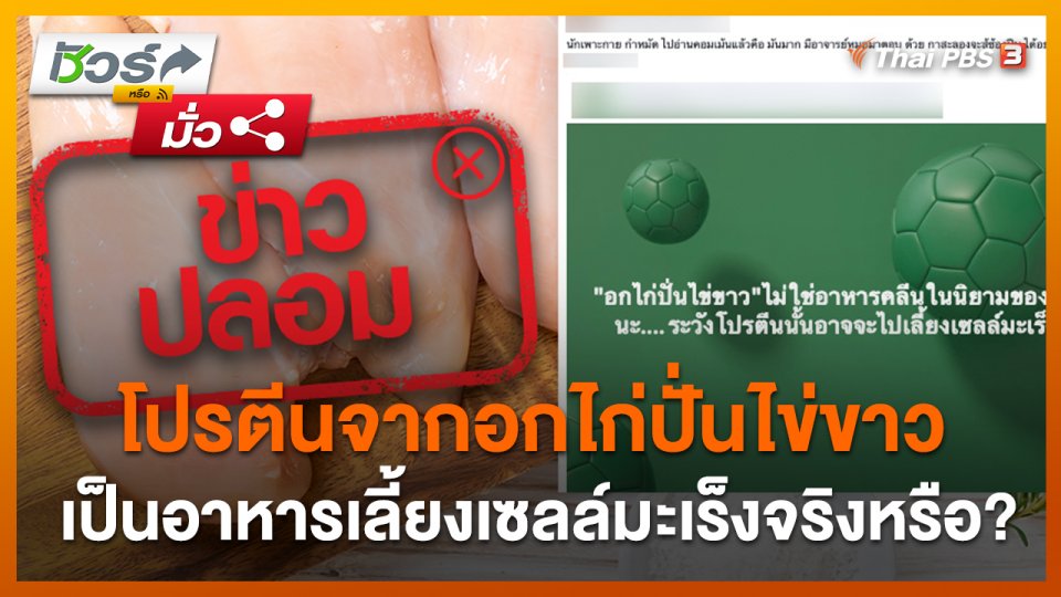 ชัวร์หรือมั่ว : โปรตีนจากอกไก่ปั่นไข่ขาวเป็นอาหารเลี้ยงเซลล์มะเร็งจริงหรือ?