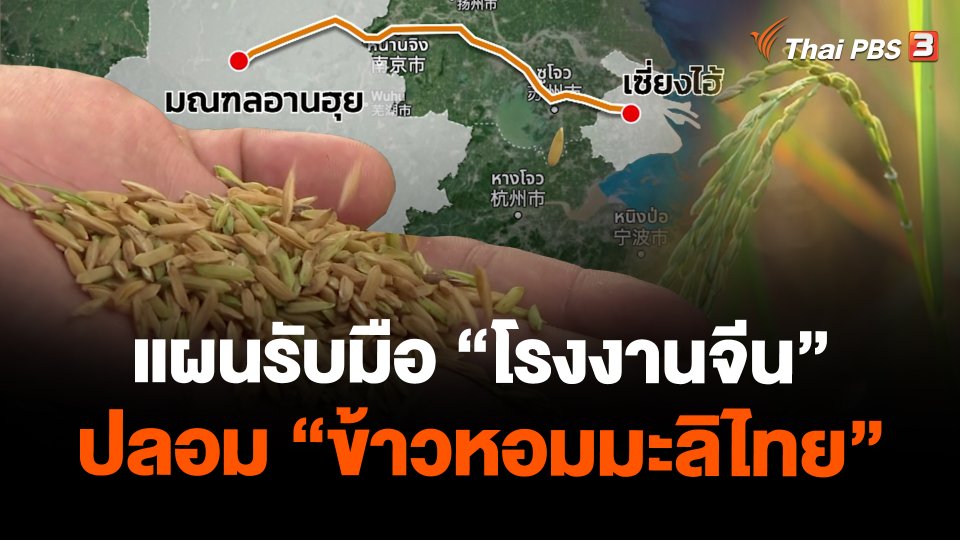 แผนรับมือ "โรงงานจีน" ปลอม "ข้าวหอมมะลิไทย"