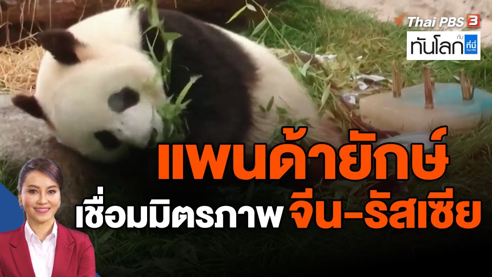 แพนด้ายักษ์เชื่อมมิตรภาพจีน-รัสเซีย