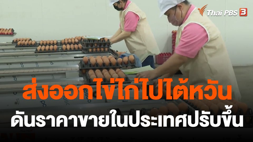 ส่งออกไข่ไก่ไปไต้หวันดันราคาขายในประเทศปรับขึ้น