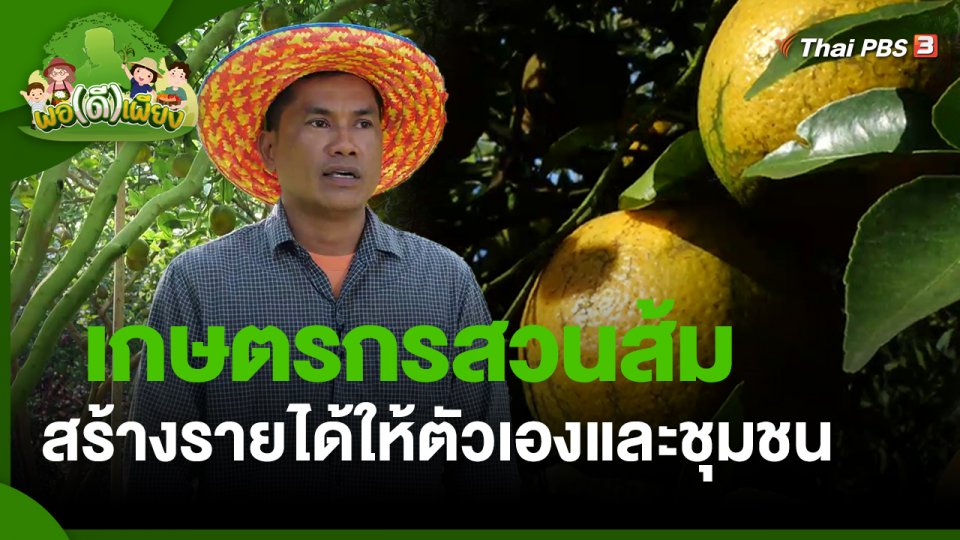 พอดีพอเพียง : เกษตรกรสวนส้ม สร้างรายได้ให้ตัวเองและชุมชน