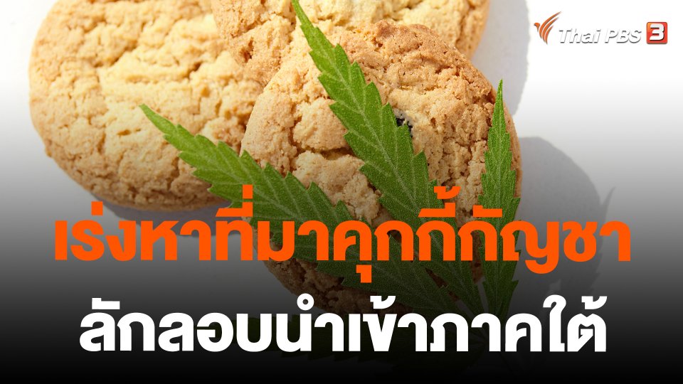 เร่งหาที่มาคุกกี้กัญชา ลักลอบนำเข้าภาคใต้