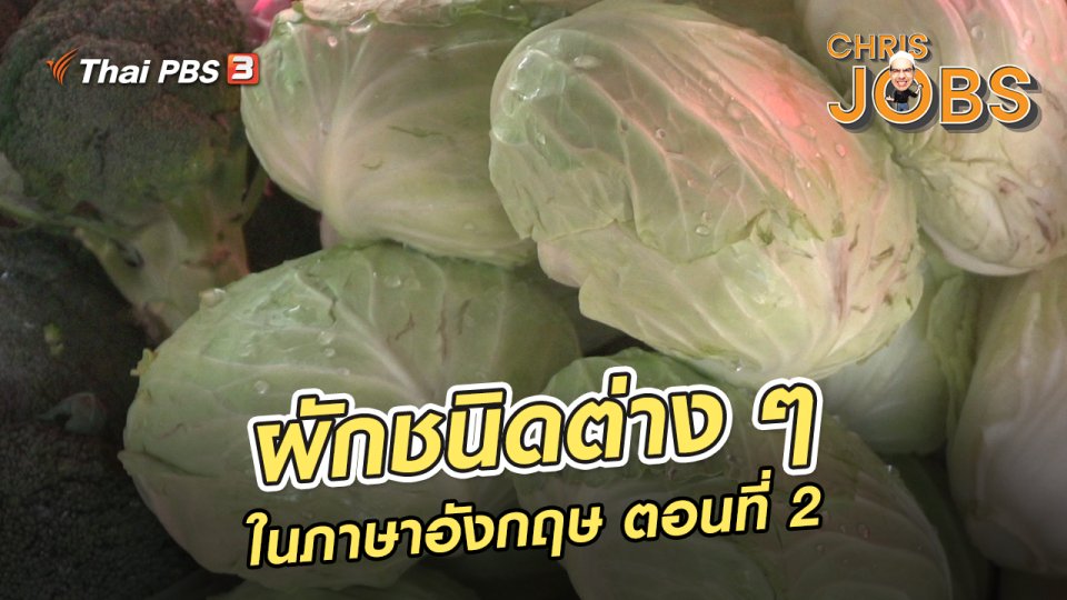 สาระน่ารู้จาก Chris Jobs : ผักชนิดต่าง ๆ ในภาษาอังกฤษ ตอนที่ 2