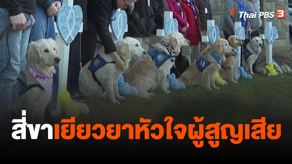 สี่ขาเยียวยาหัวใจผู้สูญเสีย