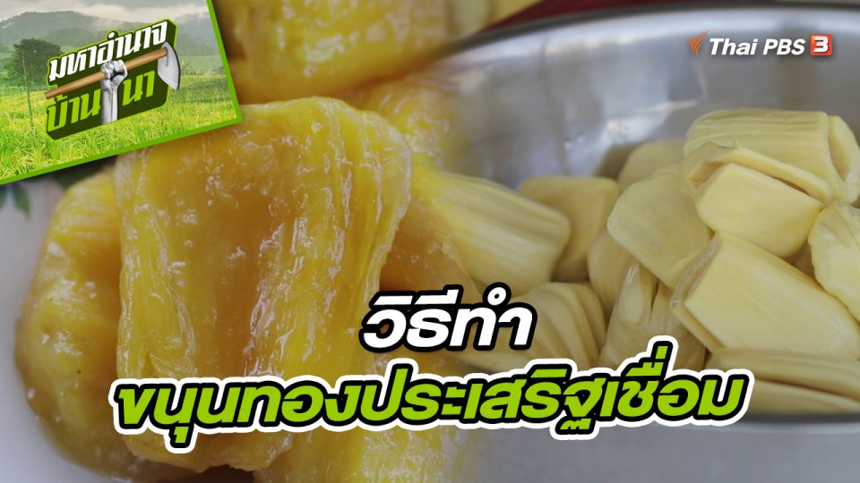 สูตรลับฉบับบ้านนา : วิธีทำขนุนทองประเสริฐเชื่อม