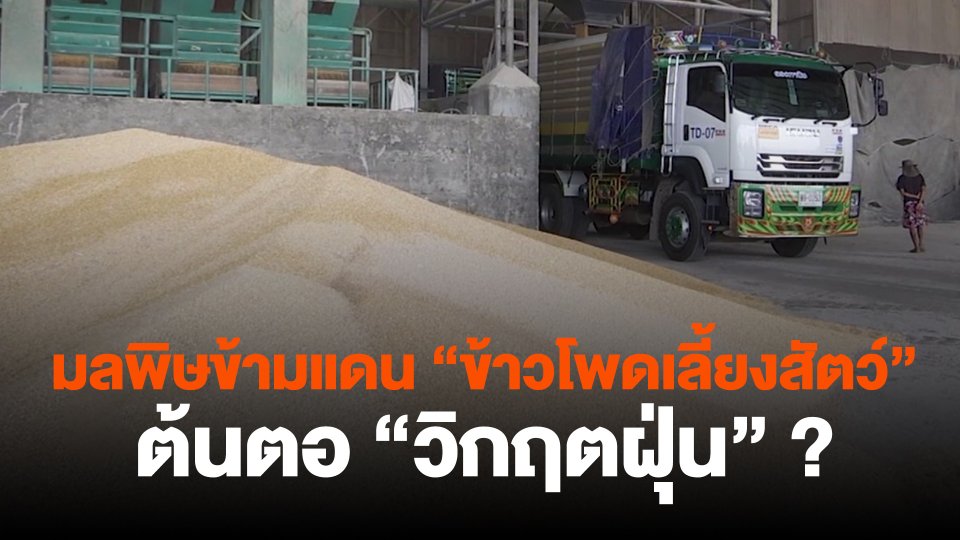 มลพิษข้ามแดน"ข้าวโพดเลี้ยงสัตว์"ต้นตอ"วิกฤตฝุ่น" ?