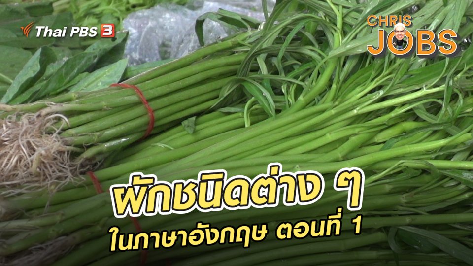 ​สาระน่ารู้จาก Chris Jobs : ผักชนิดต่าง ๆ ในภาษาอังกฤษ ตอนที่ 1