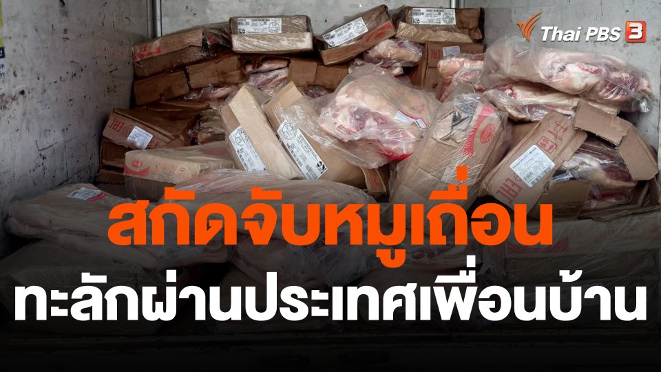 สกัดจับหมูเถื่อนทะลักผ่านประเทศเพื่อนบ้าน