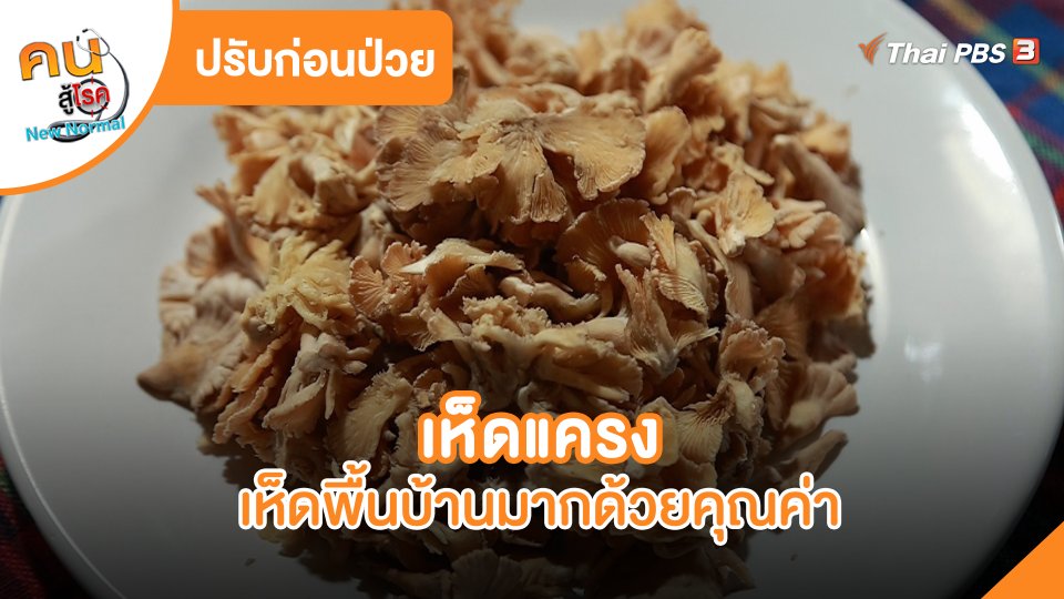 ปรับก่อนป่วย : เห็ดแครง เห็ดพื้นบ้านมากด้วยคุณค่า