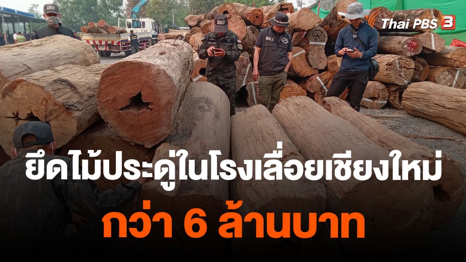 ยึดไม้ประดู่ในโรงเลื่อยเชียงใหม่กว่า 6 ล้านบาท