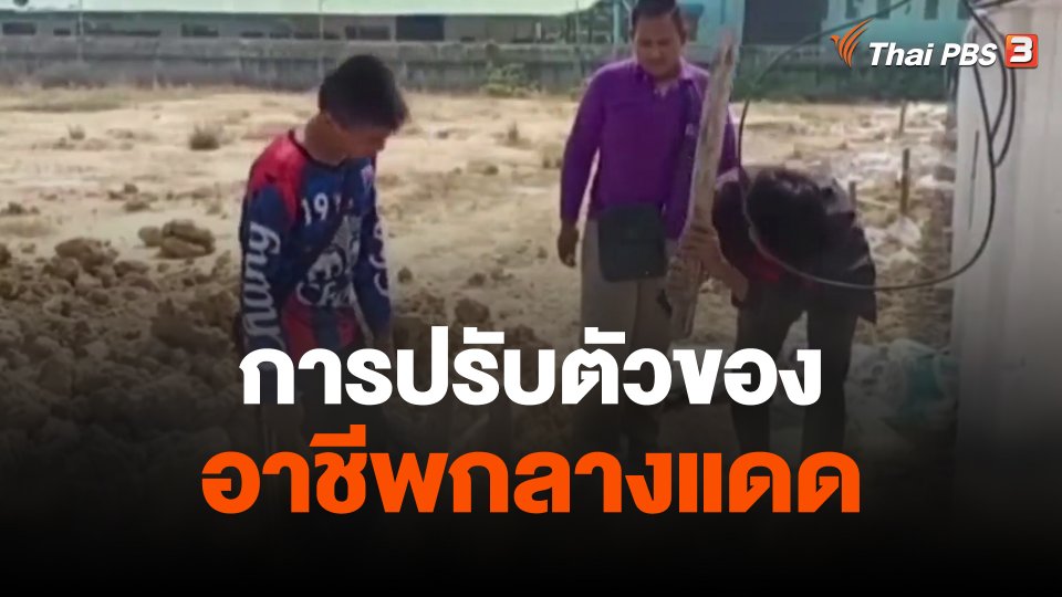 การปรับตัวของอาชีพกลางแดด