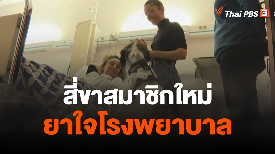 สี่ขาสมาชิกใหม่ยาใจโรงพยาบาล